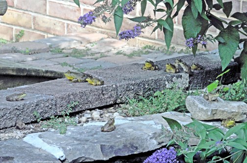 DSC_0007 copy_edited-1