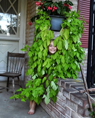 elizabeth in the hanging basket