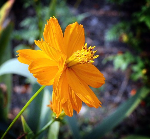 DSC_0003 copy_edited-2