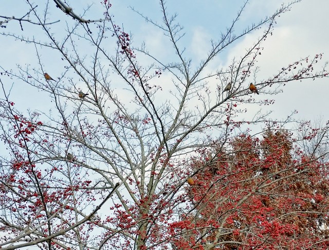 20160121_142933 copy