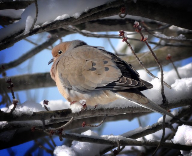 DSC_0004_06 (2) copy