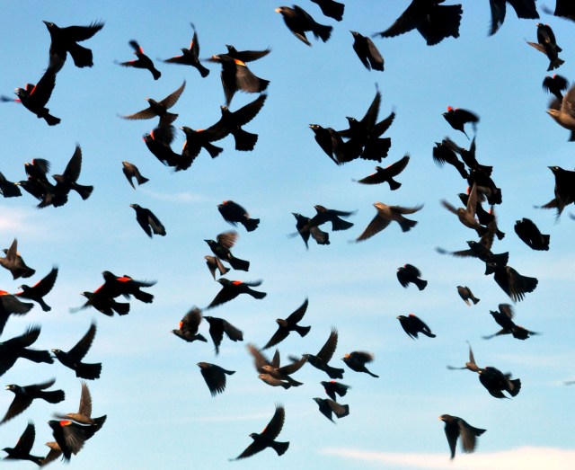 DSC_0004_037 copy_edited-1