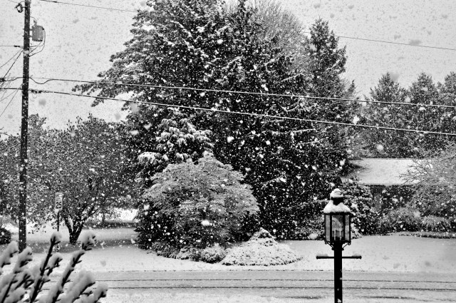 DSC_0008_393 copy_edited-1