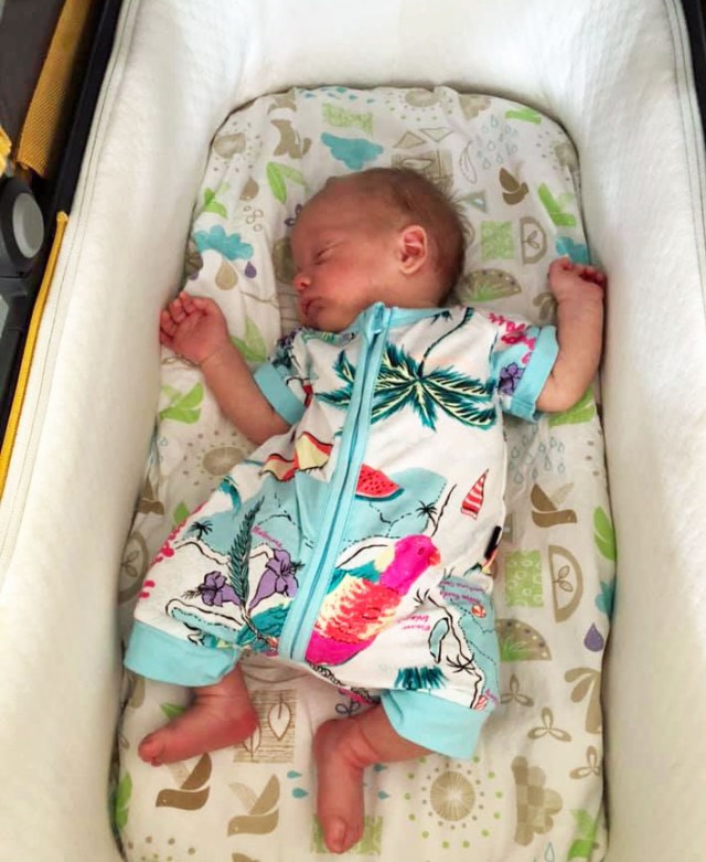 baby 49795540_10157002853310984_7529288385278509056_n copy