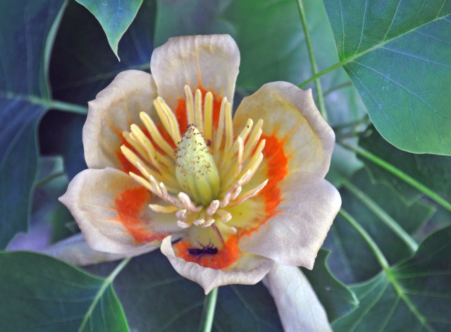 DSC_0013_3252 copy copy